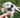 How to Protect Your Dog from Ticks: Responsible Advice for Pet Owners