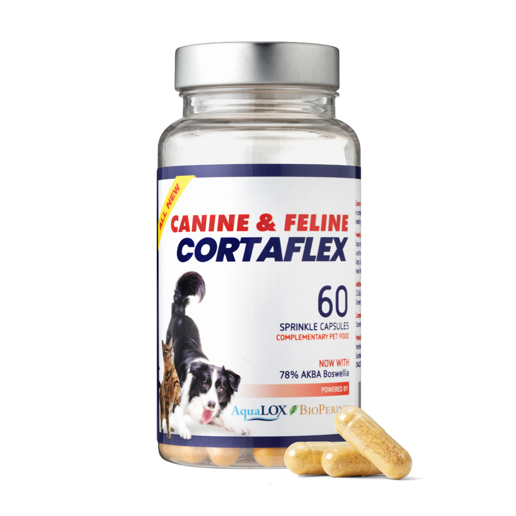Canine & Feline Cortaflex® Capsules