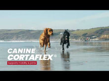 Load and play video in Gallery viewer, Canine Cortaflex® Working Dog Jointcare
