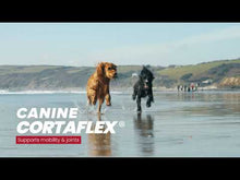 Load and play video in Gallery viewer, Canine Cortaflex® Powder
